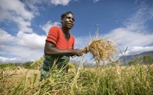 Développement humain en Afrique : une progression lente freinée par de fortes inégalités