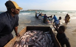 Sénégal : la polémique enfle autour de nouvelles licences de pêche industrielle