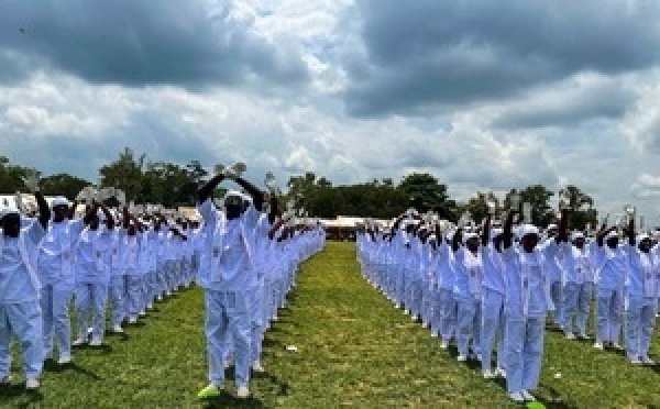 INFAS : tout savoir sur la filière technicien en pharmacie