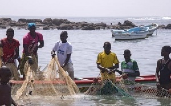 Sénégal : la mer se vide de poissons, les pêcheurs sombrent