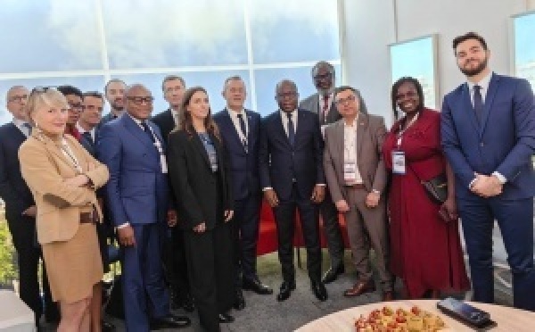 Industrie pharmaceutique : à Paris, la Côte d’Ivoire se positionne comme futur hub régional