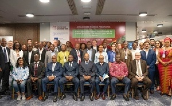 Swollen shoot : la Côte d’Ivoire et le Ghana unissent leurs forces