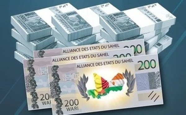 AES : la difficile équation d’une monnaie commune