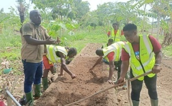 Bouaflé : 100 jeunes formés pour bâtir une nouvelle génération d’agriculteurs