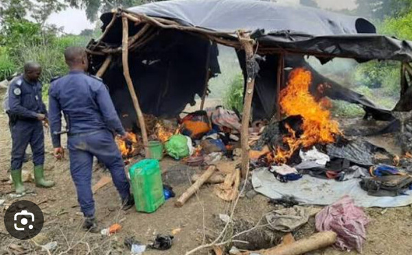 Orpaillage illégal : vaste coup de filet de la gendarmerie à Badolo