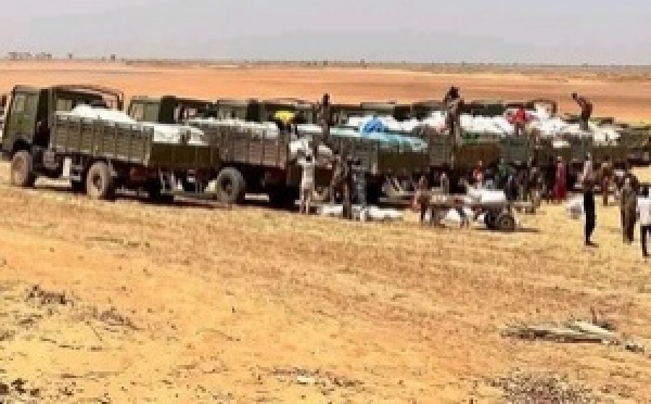 Mali : premier convoi de vivres depuis un an à Diafarabé, sous escorte militaire