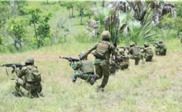 Exercice interarmes « BETRANMASSE » : les FACI en démonstration de force avant le Nord