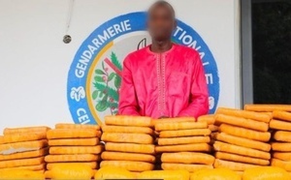 Yamoussoukro–Sinfra : 102 kg de drogue saisis par la gendarmerie à Akpessékro