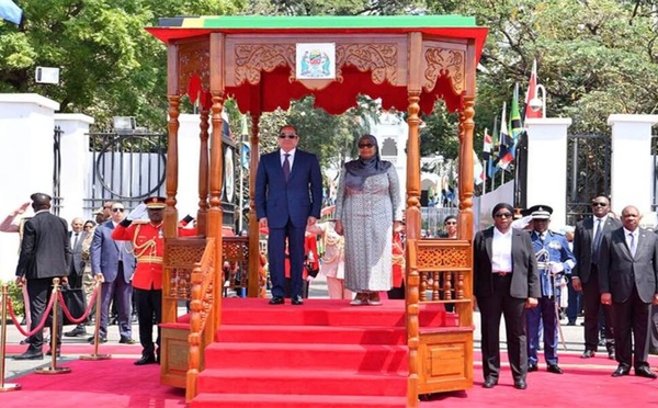 Égypte-Tanzanie : Le Caire et Dodoma renforcent leur partenariat autour des corridors et de l’énergie