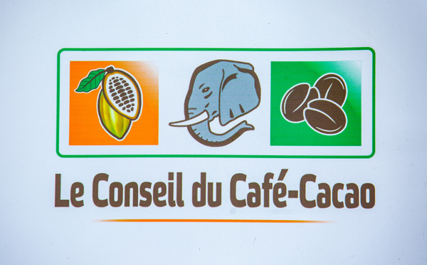 Filière cacao : le Conseil du Café-Cacao ferme le dossier des 100 000 tonnes et appelle à préparer la nouvelle campagne