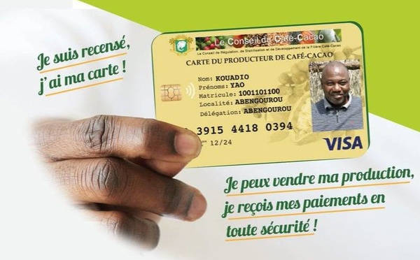 Côte d’Ivoire : la Carte du Producteur devient obligatoire pour le café et le cacao dès le 1er septembre