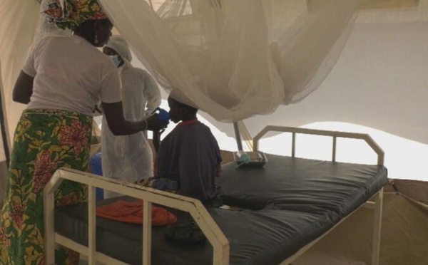 Cameroun : le choléra progresse dans l’Extrême-Nord, plus de 1 000 cas recensés