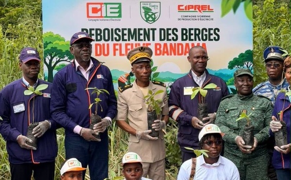 Kossou : 30 000 plants pour restaurer les berges du Bandama