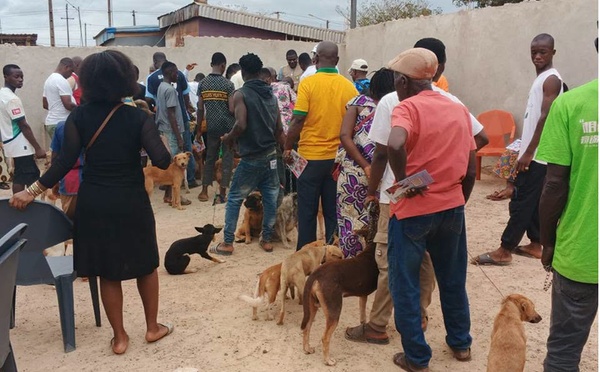 Gagnoa : deux morts de la rage humaine après des morsures de chiens