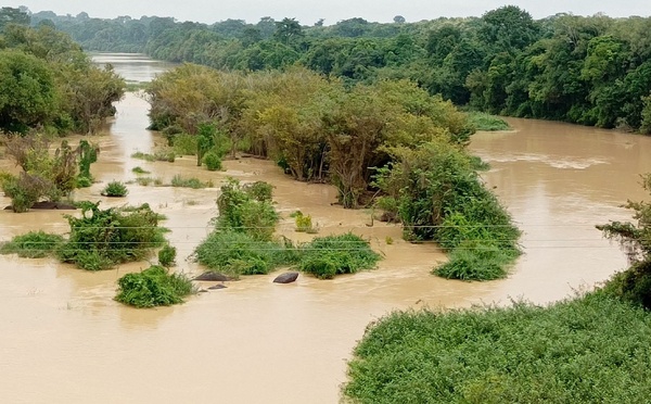 Côte d’Ivoire : une technologie pour filtrer les eaux polluées par l’orpaillage clandestin
