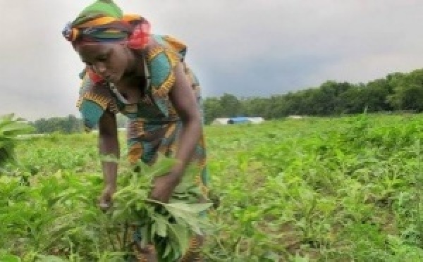 Burundi : Goreth Minanni, le courage d’une femme rurale face aux défis agricoles