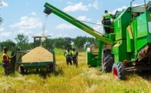 Agriculture : des pistes pour stimuler l’emploi des jeunes