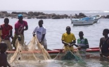 Sénégal : la mer se vide de poissons, les pêcheurs sombrent