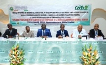 Côte d'Ivoire, actualité gouvernementale : bilan du 23 au 27 mars 2026