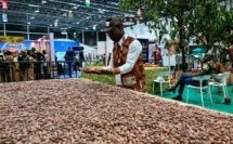 Cacao : les grands producteurs mondiaux se mobilisent pour stabiliser les prix