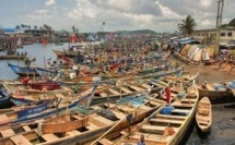 Togo : une baisse annoncée de la production de poisson en 2026