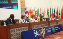 FAO à Nouakchott : le financement de la transformation agroalimentaire africaine au cœur des débats