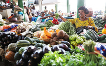 Côte d’Ivoire : vers une sécurisation des engrais pour renforcer la production vivrière