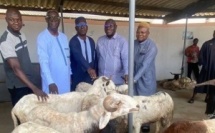 Tabaski 2026 à Yopougon : des moutons offerts aux familles défavorisées par Adama Bictogo