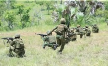 Exercice interarmes « BETRANMASSE » : les FACI en démonstration de force avant le Nord