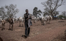 Niger : un accord de paix dans la vallée du Goulbi de Maradi pour apaiser les tensions agro-pastorales