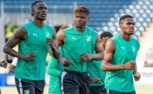 MONDIAL 2026 / Avant Côte d’Ivoire – Équateur (dimanche à 23h00 GMT) : Les Éléphants très concentrés