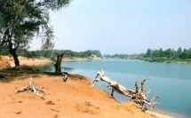 Transport et commerce : Bamako veut faire du fleuve Sénégal un levier stratégique