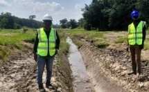 Cavally : le Conseil régional lance l'aménagement de 10 hectares de bas-fonds pour renforcer la production rizicole