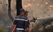 Maroc : alerte rouge sur 20 provinces face à un risque extrême d’incendies de forêt