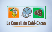 Filière cacao : le Conseil du Café-Cacao ferme le dossier des 100 000 tonnes et appelle à préparer la nouvelle campagne