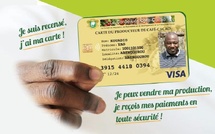 Côte d’Ivoire : la Carte du Producteur devient obligatoire pour le café et le cacao dès le 1er septembre