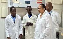 Côte d’Ivoire : une solution naturelle contre le Swollen Shoot du cacaoyer