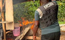 Lutte contre la drogue à Abidjan : cinq fumoirs détruits et du cannabis saisi