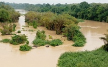 Côte d’Ivoire : une technologie pour filtrer les eaux polluées par l’orpaillage clandestin