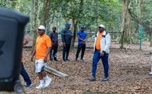 Bien-être : les députés ivoriens marchent dans la forêt du Banco pour entretenir leur santé